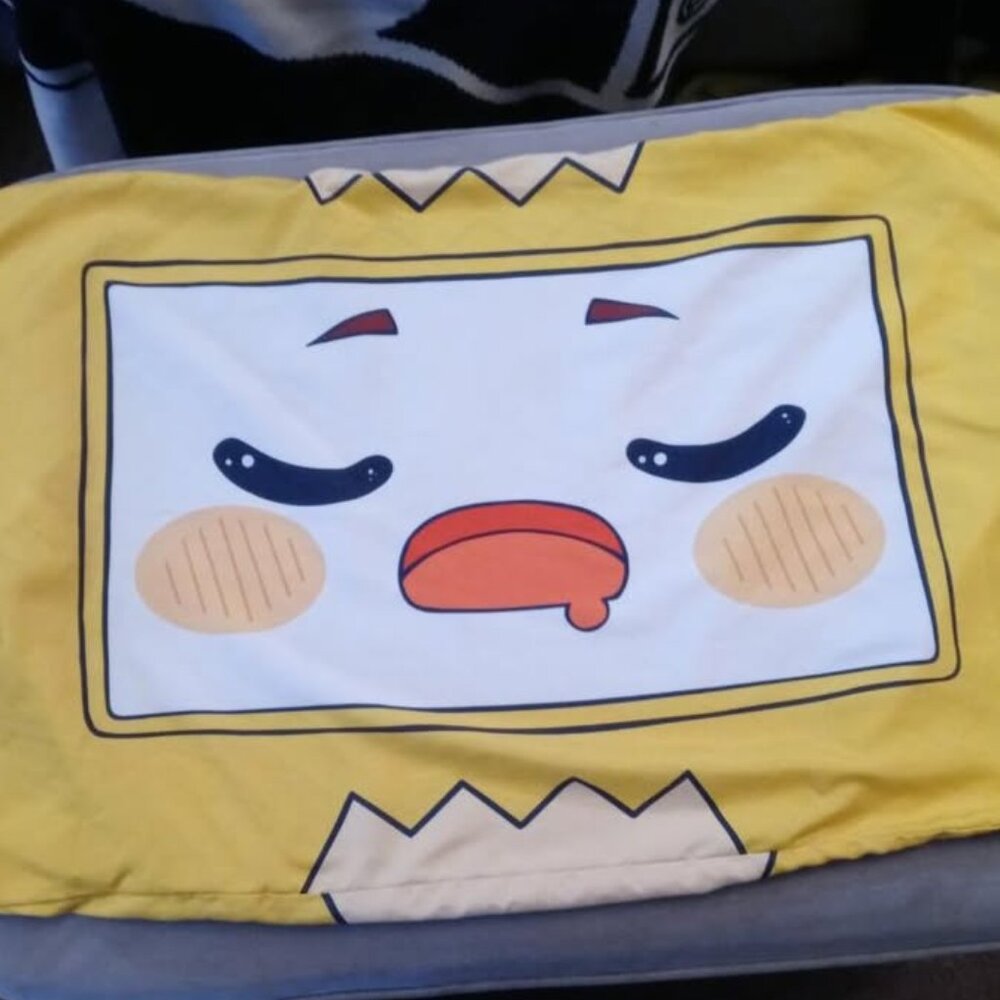 Lanky Box Boxy Pillow Case